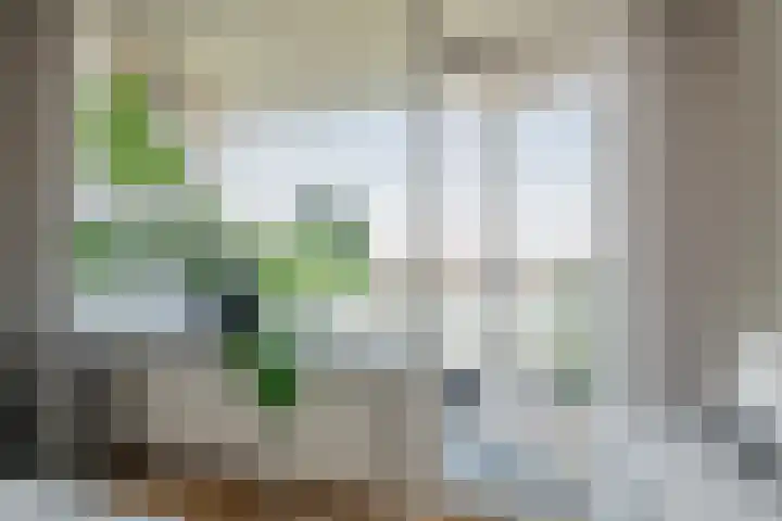 Tobias Asserlaan 146 Diemen thumbnail 22