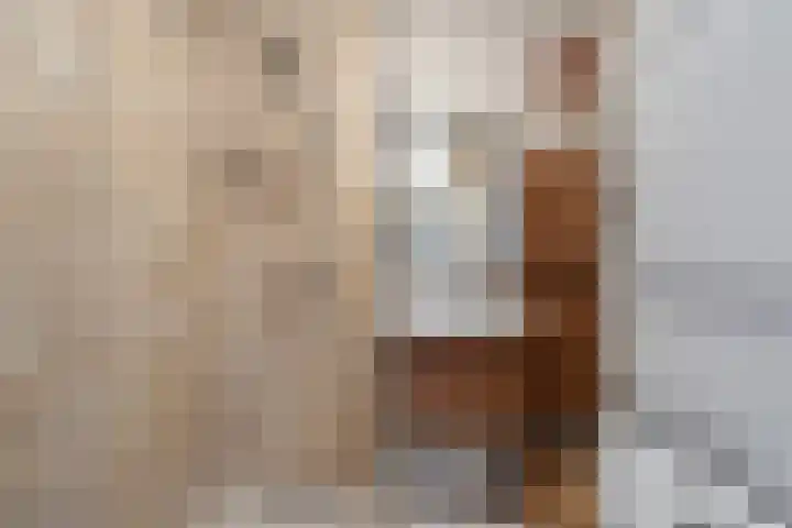 Tobias Asserlaan 146 Diemen thumbnail 23