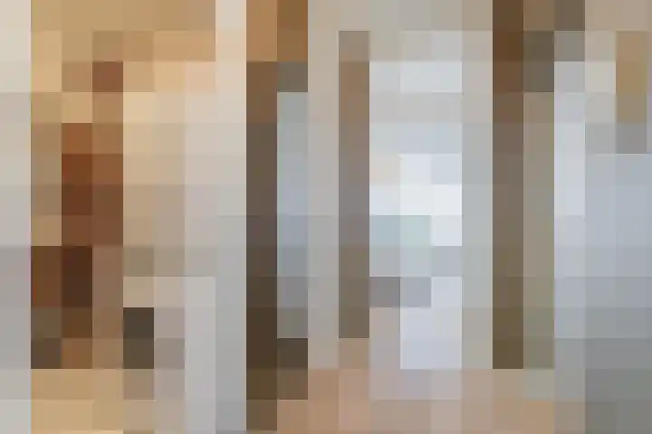Tobias Asserlaan 146 Diemen thumbnail 26
