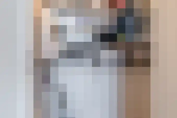 Tobias Asserlaan 146 Diemen thumbnail 27