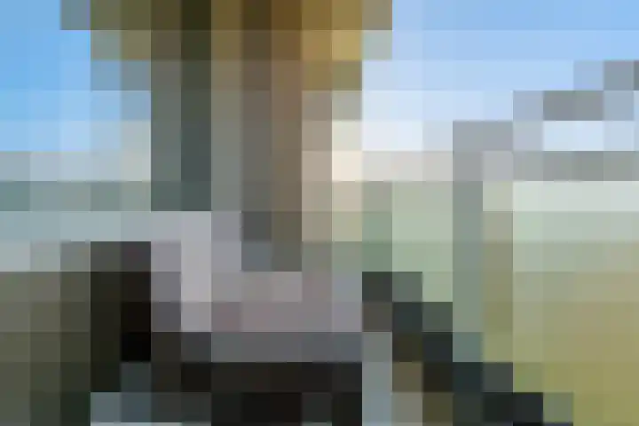 Tobias Asserlaan 146 Diemen thumbnail 28
