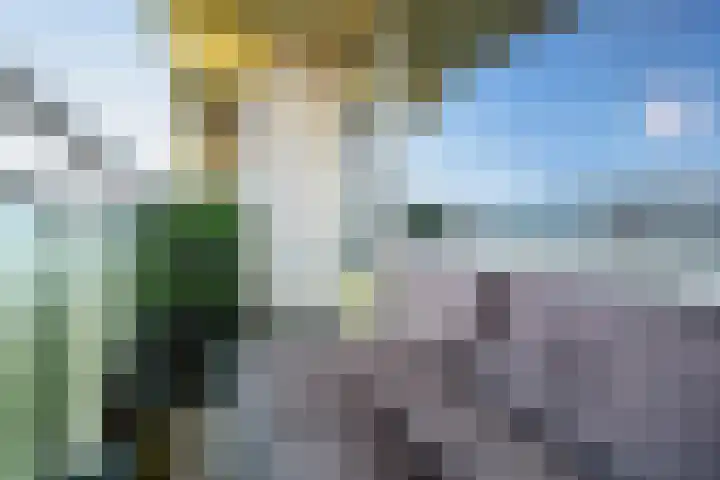Tobias Asserlaan 146 Diemen thumbnail 29