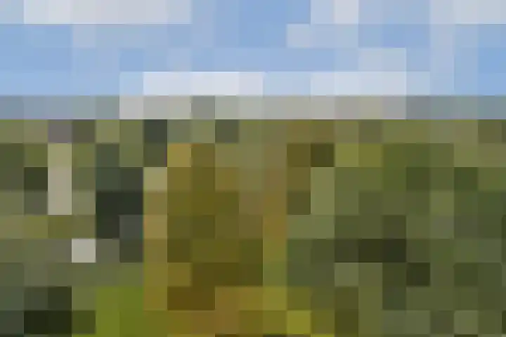Tobias Asserlaan 147 Diemen thumbnail 11