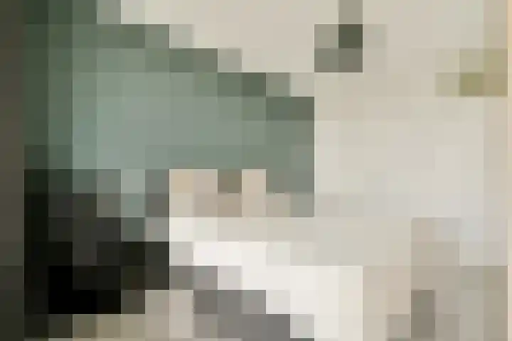 Tobias Asserlaan 147 Diemen thumbnail 13