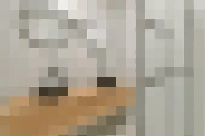 Tobias Asserlaan 147 Diemen thumbnail 15