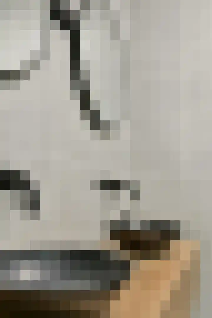Tobias Asserlaan 147 Diemen thumbnail 17