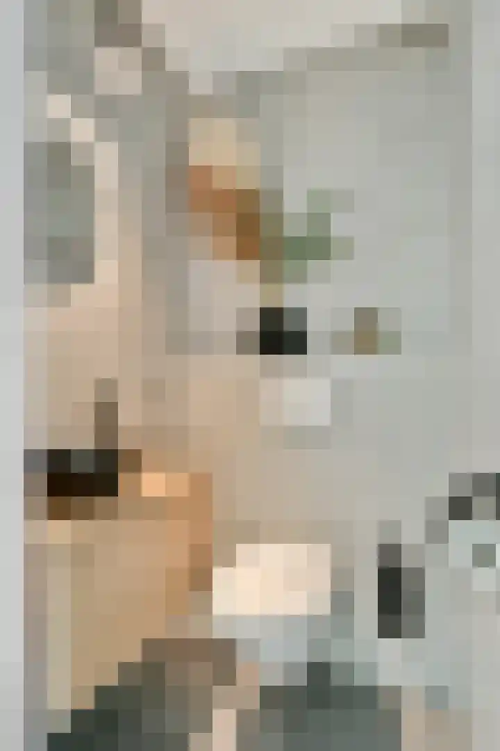 Tobias Asserlaan 147 Diemen thumbnail 18