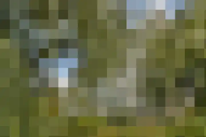 Tobias Asserlaan 147 Diemen thumbnail 23