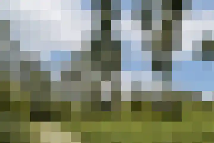 Tobias Asserlaan 147 Diemen thumbnail 24