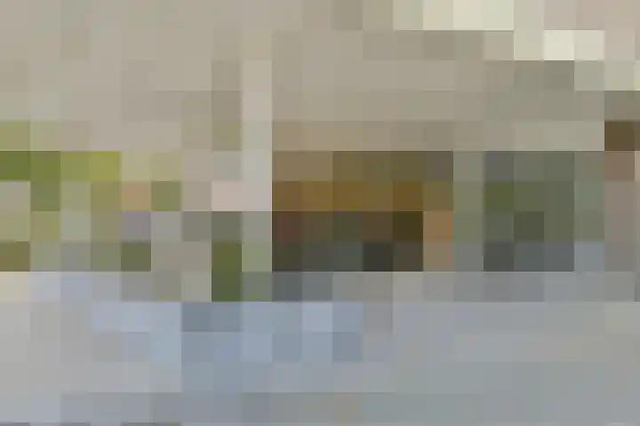 Tobias Asserlaan 147 Diemen thumbnail 25