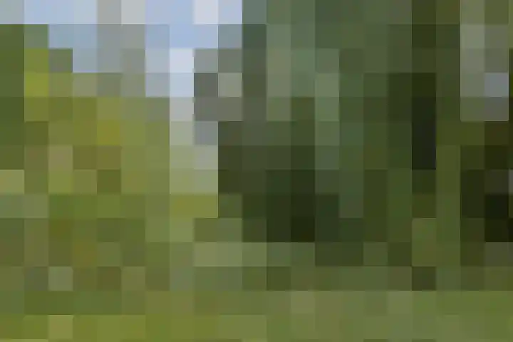 Tobias Asserlaan 147 Diemen thumbnail 26