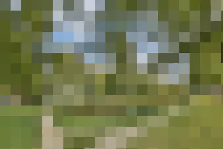 Tobias Asserlaan 147 Diemen thumbnail 27