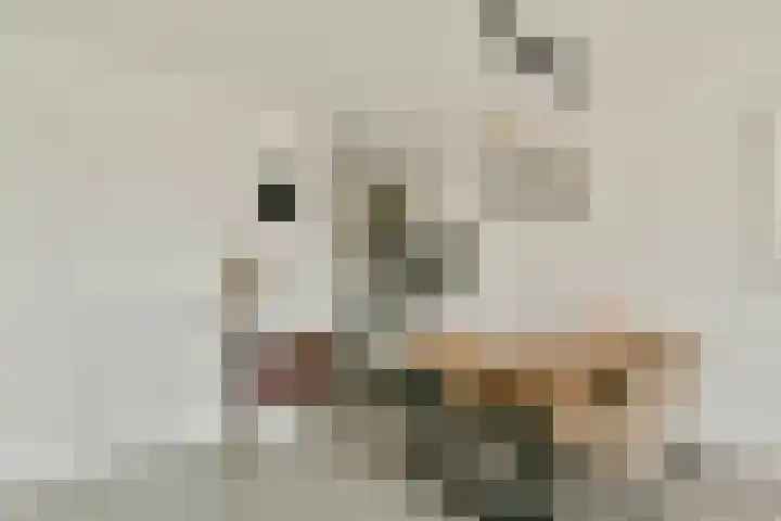 Tobias Asserlaan 147 Diemen thumbnail 6