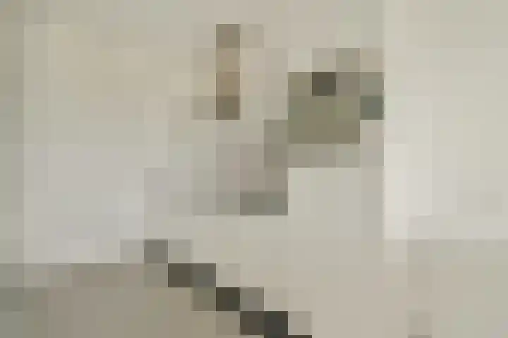 Tobias Asserlaan 147 Diemen thumbnail 7