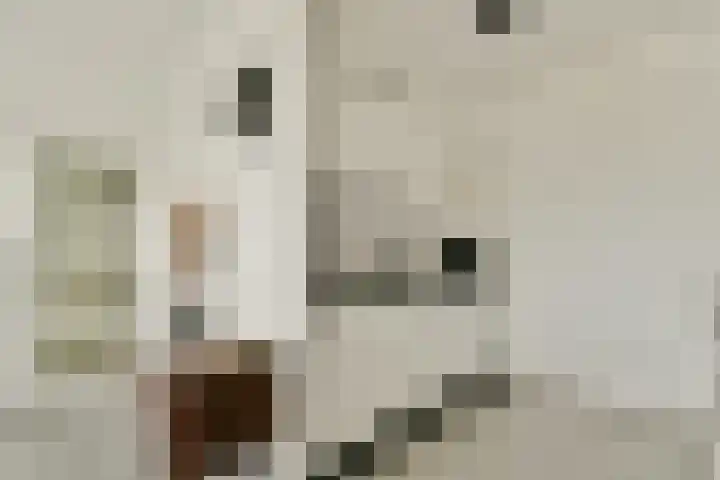 Tobias Asserlaan 147 Diemen thumbnail 8