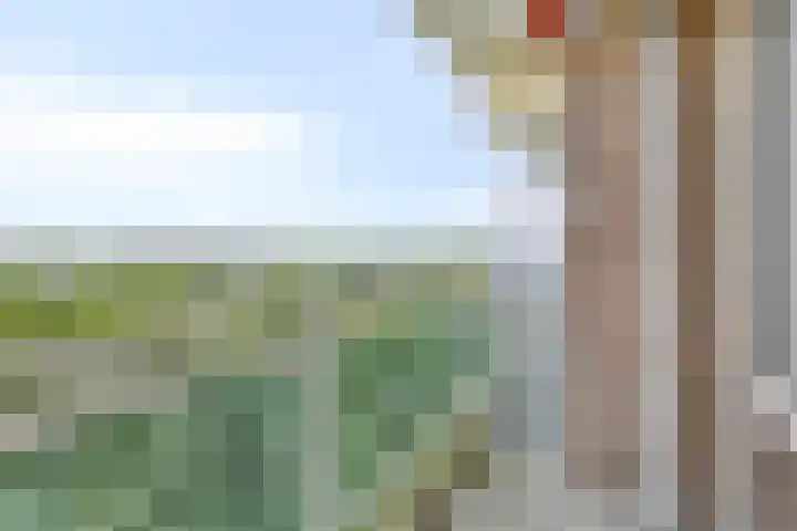 Tobias Asserlaan 153 Diemen thumbnail 6