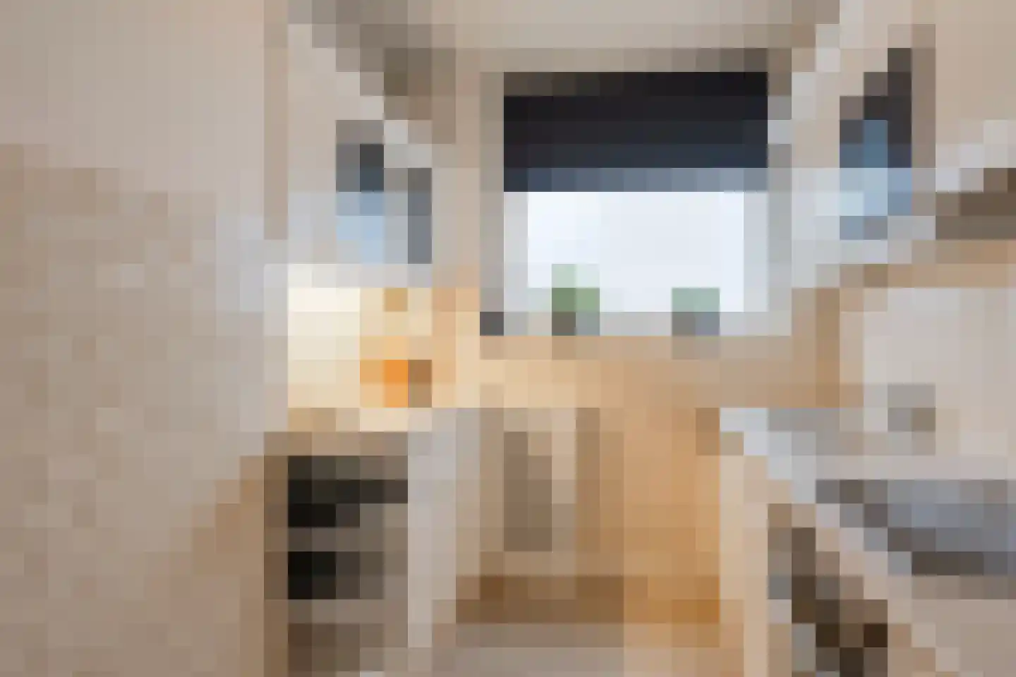 Tobias Asserlaan 157 Diemen thumbnail 23
