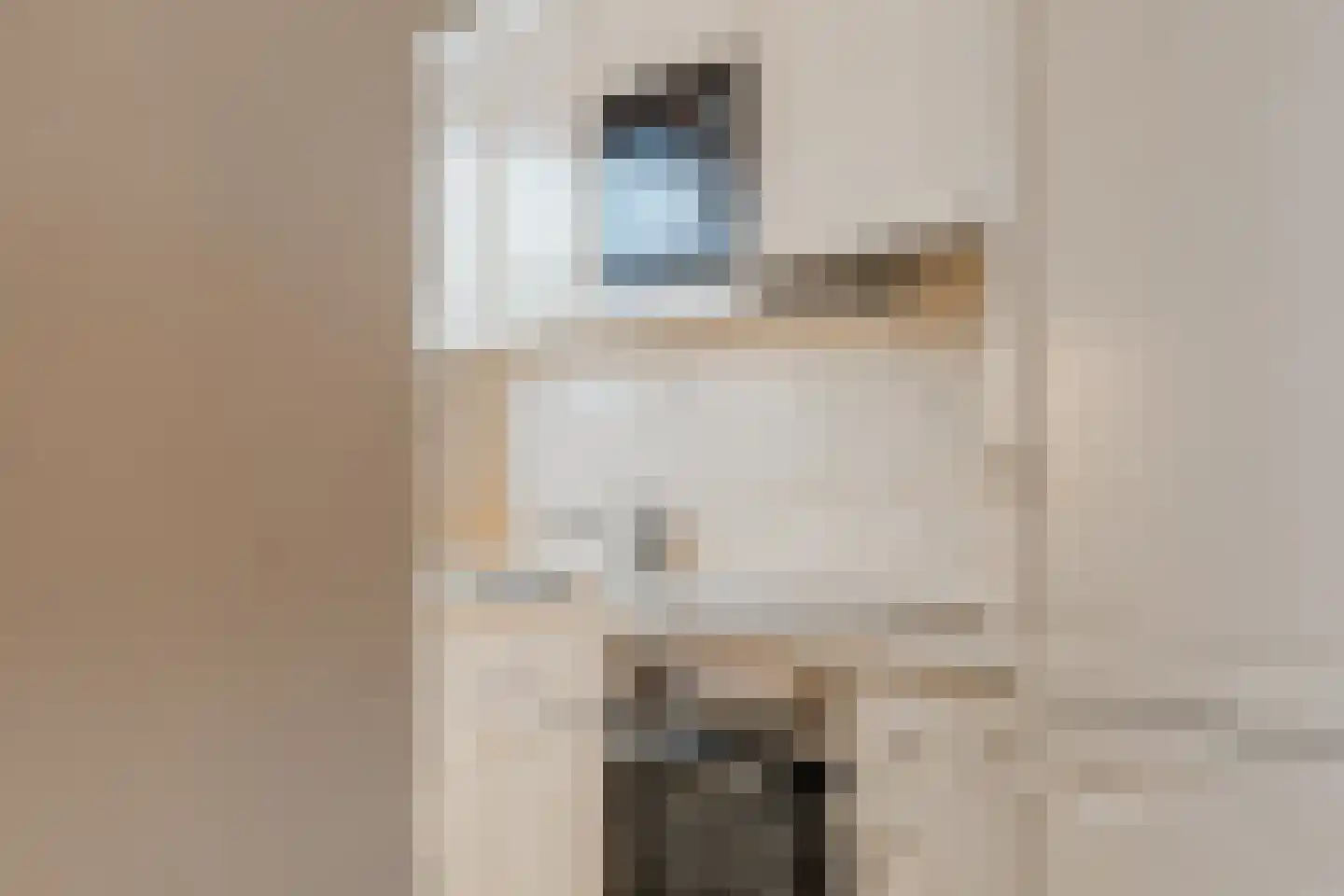 Tobias Asserlaan 157 Diemen thumbnail 24