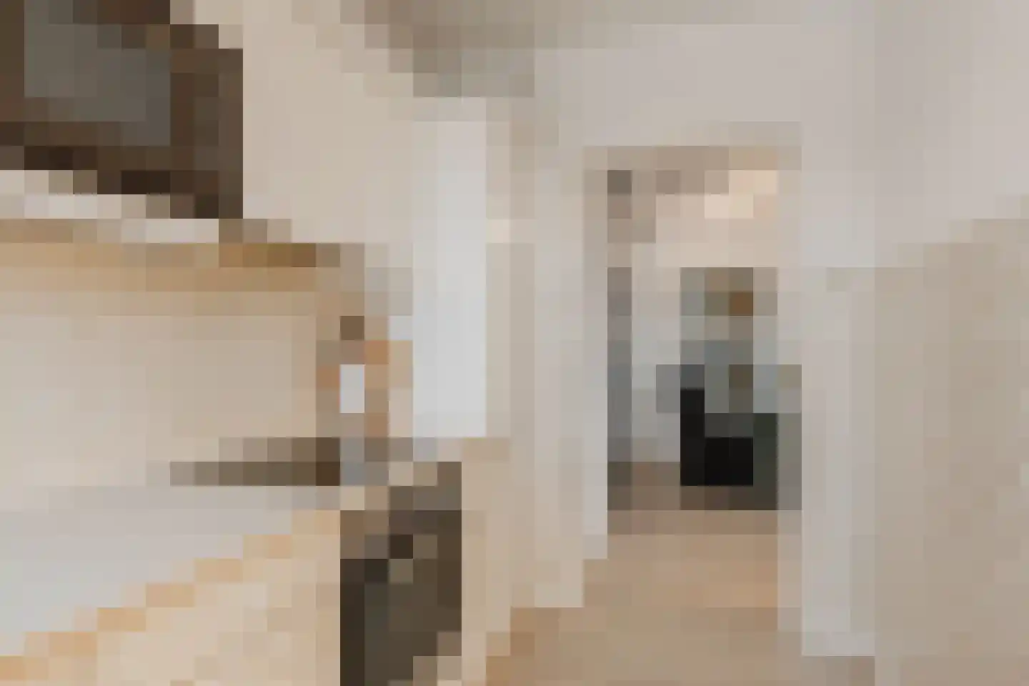 Tobias Asserlaan 157 Diemen thumbnail 25