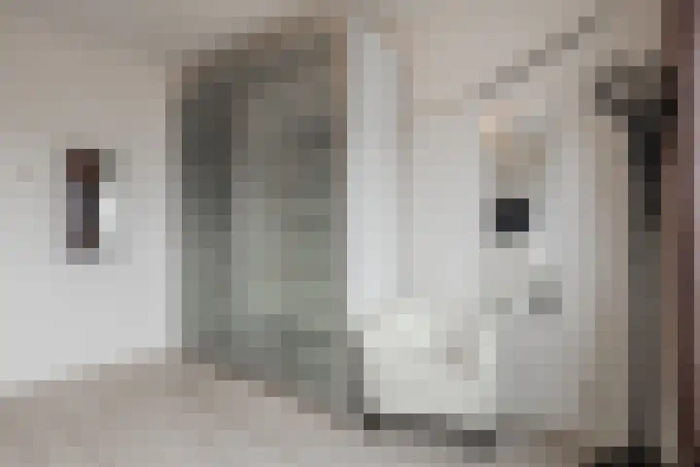 Tobias Asserlaan 157 Diemen thumbnail 37