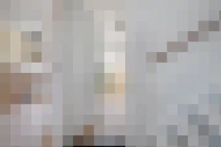 Tobias Asserlaan 16 Zwolle thumbnail 24