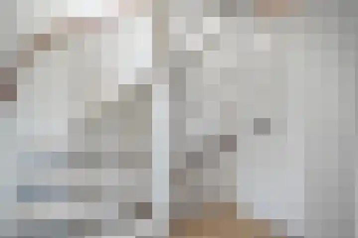 Tobias Asserlaan 16 Zwolle thumbnail 25