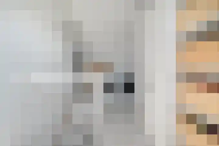 Tobias Asserlaan 16 Zwolle thumbnail 26