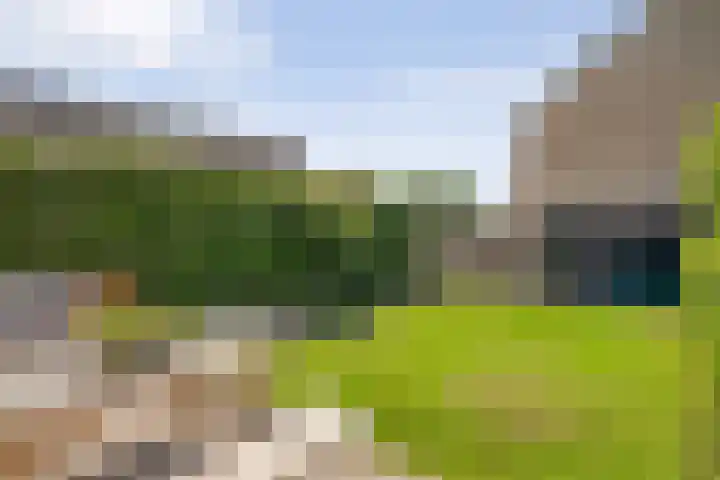 Tobias Asserlaan 16 Zwolle thumbnail 30