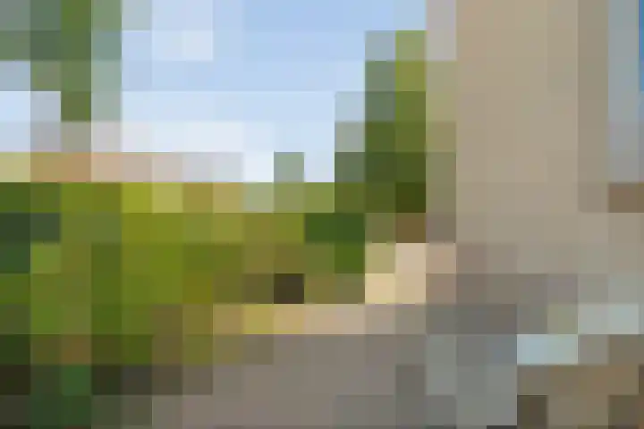 Tobias Asserlaan 16 Zwolle thumbnail 33