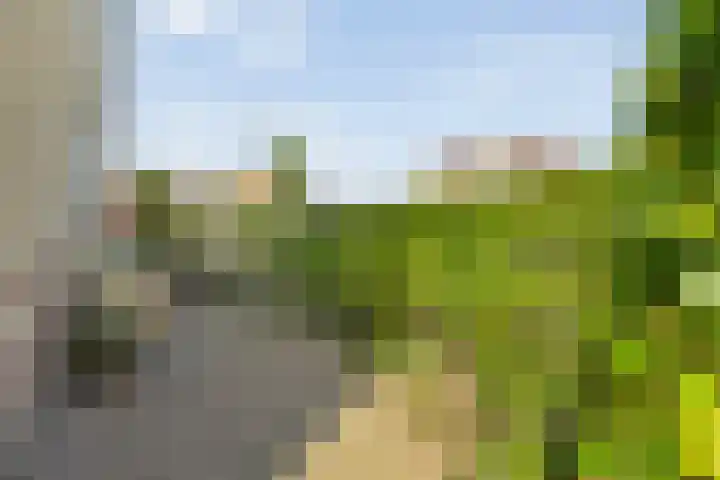 Tobias Asserlaan 16 Zwolle thumbnail 34