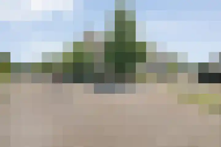 Tobias Asserlaan 16 Zwolle thumbnail 35