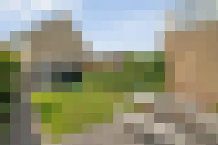 Tobias Asserlaan 16 Zwolle thumbnail 36