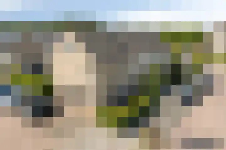 Tobias Asserlaan 16 Zwolle thumbnail 38