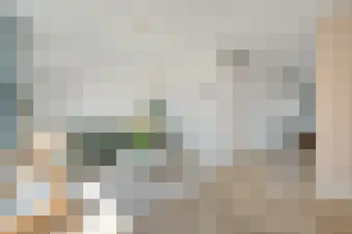 Tobias Asserlaan 16 Zwolle thumbnail 6