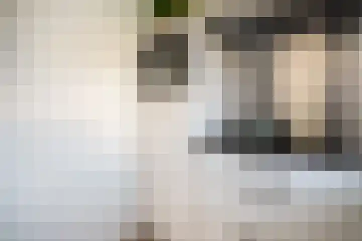 Tobias Asserlaan 16 Zwolle thumbnail 9