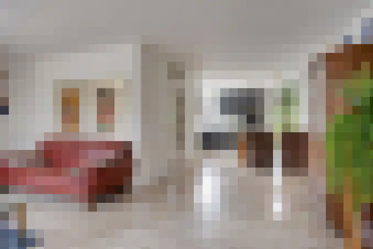 Tobias Asserlaan 17 Zwolle thumbnail 12