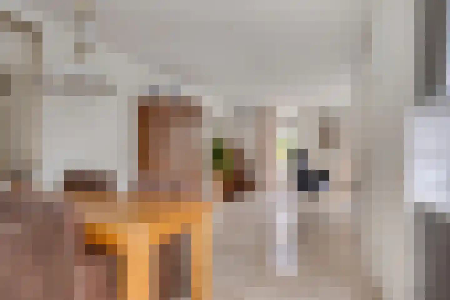 Tobias Asserlaan 17 Zwolle thumbnail 18