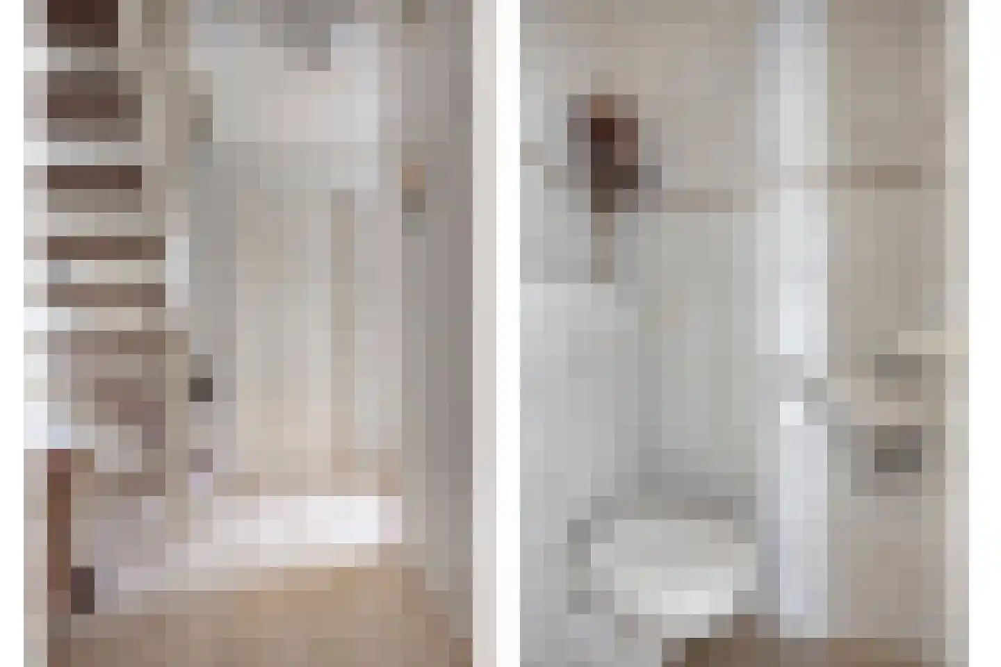 Tobias Asserlaan 17 Zwolle thumbnail 20
