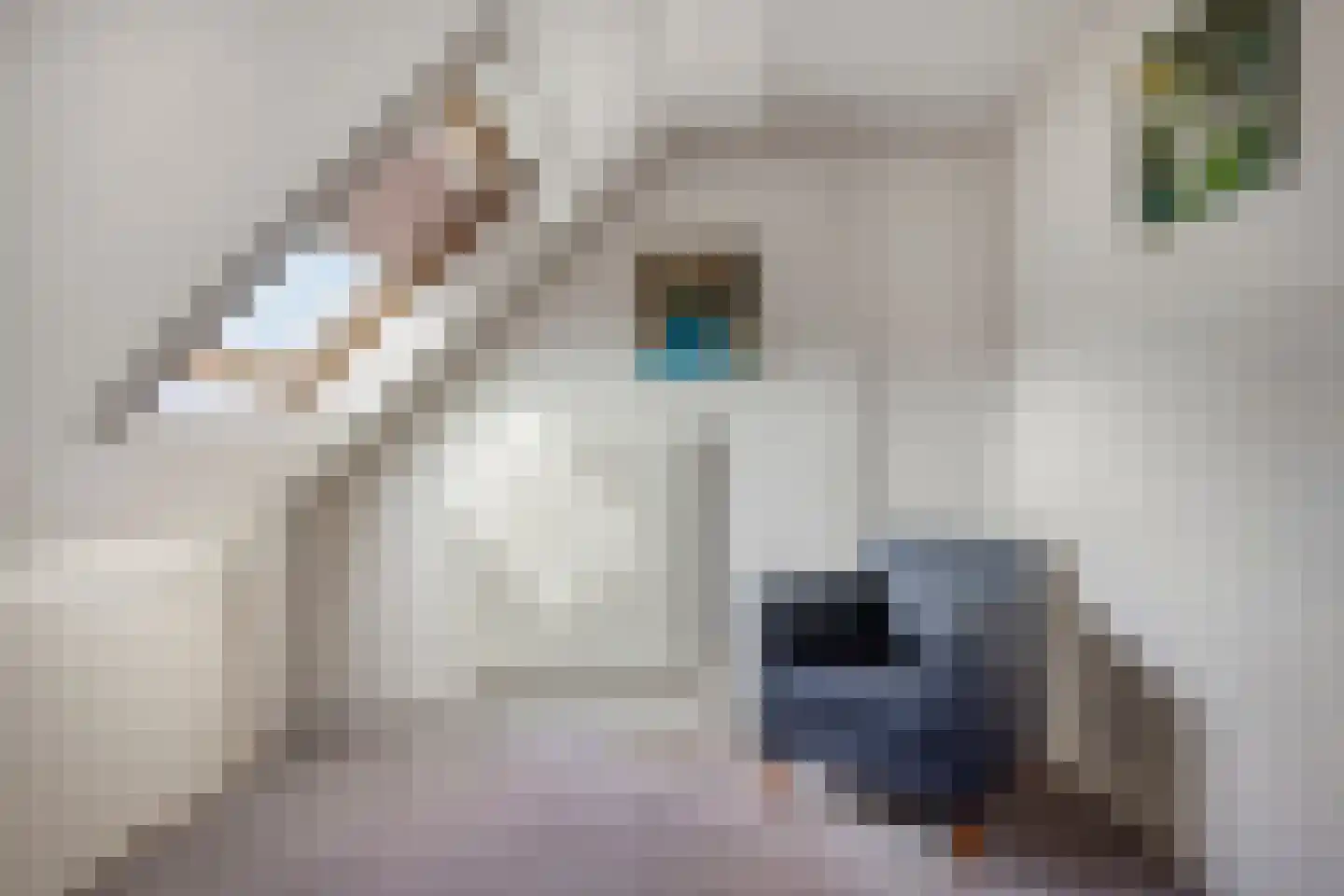 Tobias Asserlaan 17 Zwolle thumbnail 26