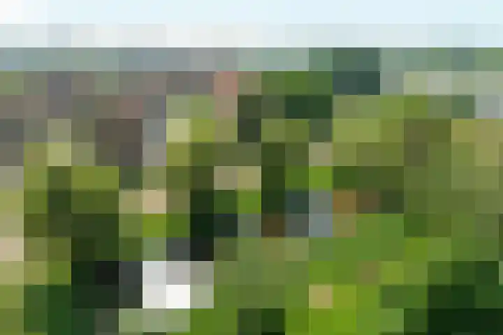 Tobias Asserlaan 170 Diemen thumbnail 22