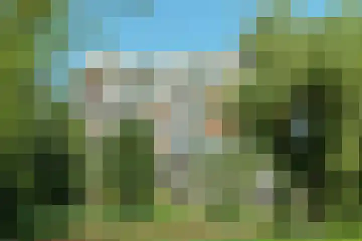 Tobias Asserlaan 170 Diemen thumbnail 29