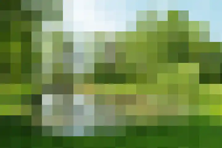 Tobias Asserlaan 170 Diemen thumbnail 32