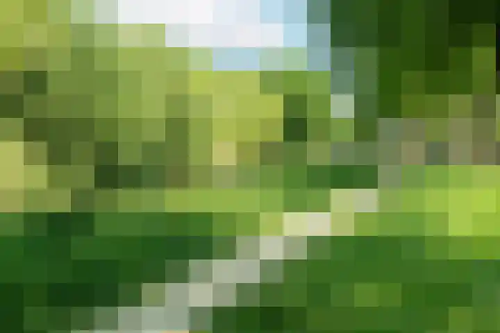 Tobias Asserlaan 170 Diemen thumbnail 35