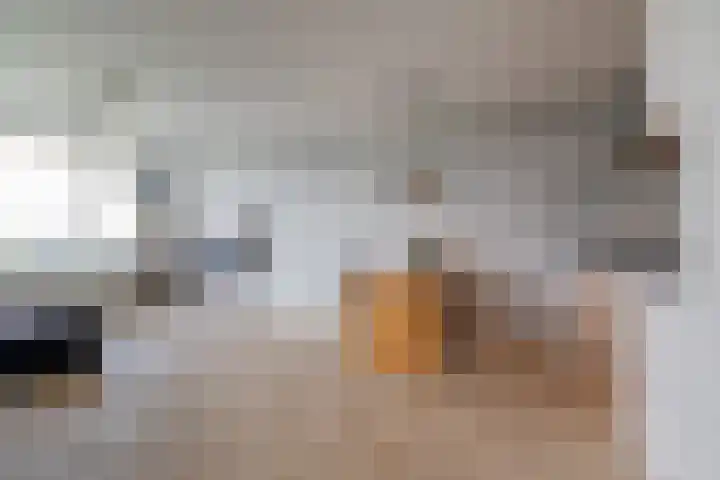 Tobias Asserlaan 172 Diemen thumbnail 11