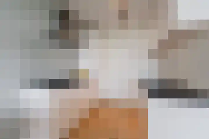 Tobias Asserlaan 172 Diemen thumbnail 14