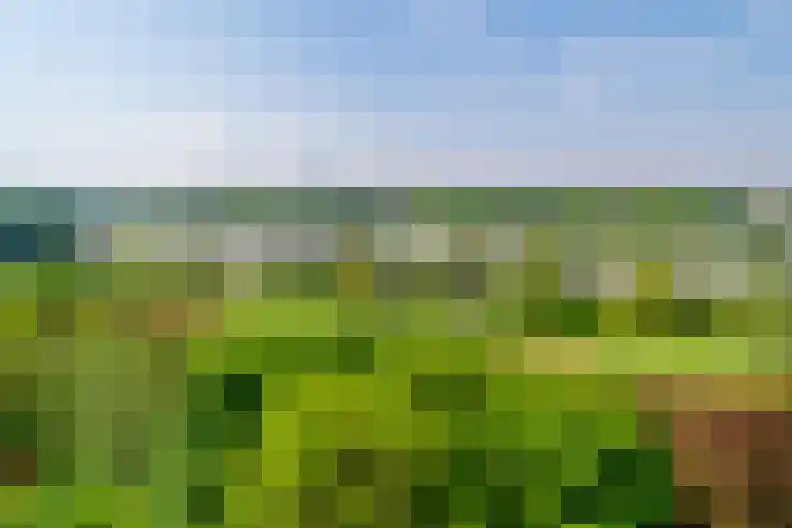 Tobias Asserlaan 172 Diemen thumbnail 27