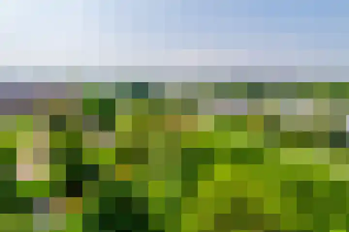 Tobias Asserlaan 172 Diemen thumbnail 28