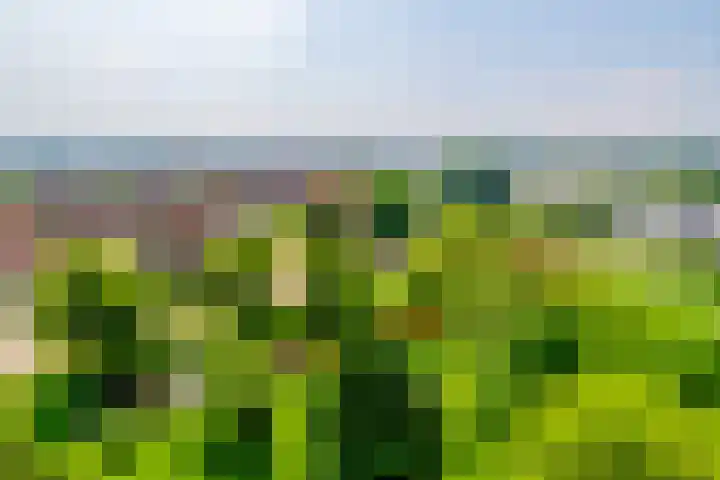 Tobias Asserlaan 172 Diemen thumbnail 29