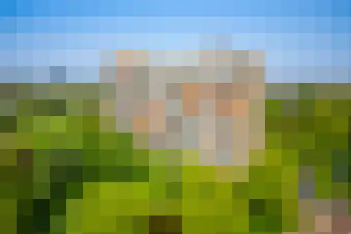 Tobias Asserlaan 172 Diemen thumbnail 32