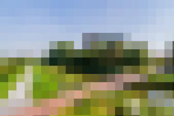 Tobias Asserlaan 172 Diemen thumbnail 38